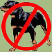pas de chien