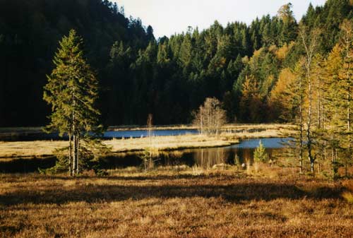 lac de montagne